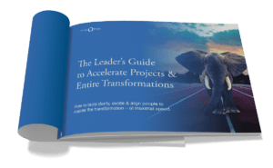 Do Epic Stuff Leadership after Change Management Book by René Esteban